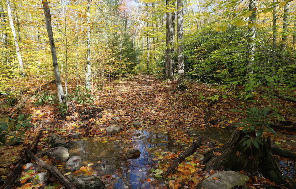 Fall foliage in Poconos mountains Pennsylvania