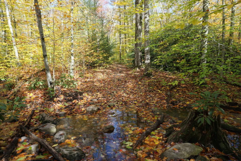 Fall foliage in Poconos mountains Pennsylvania