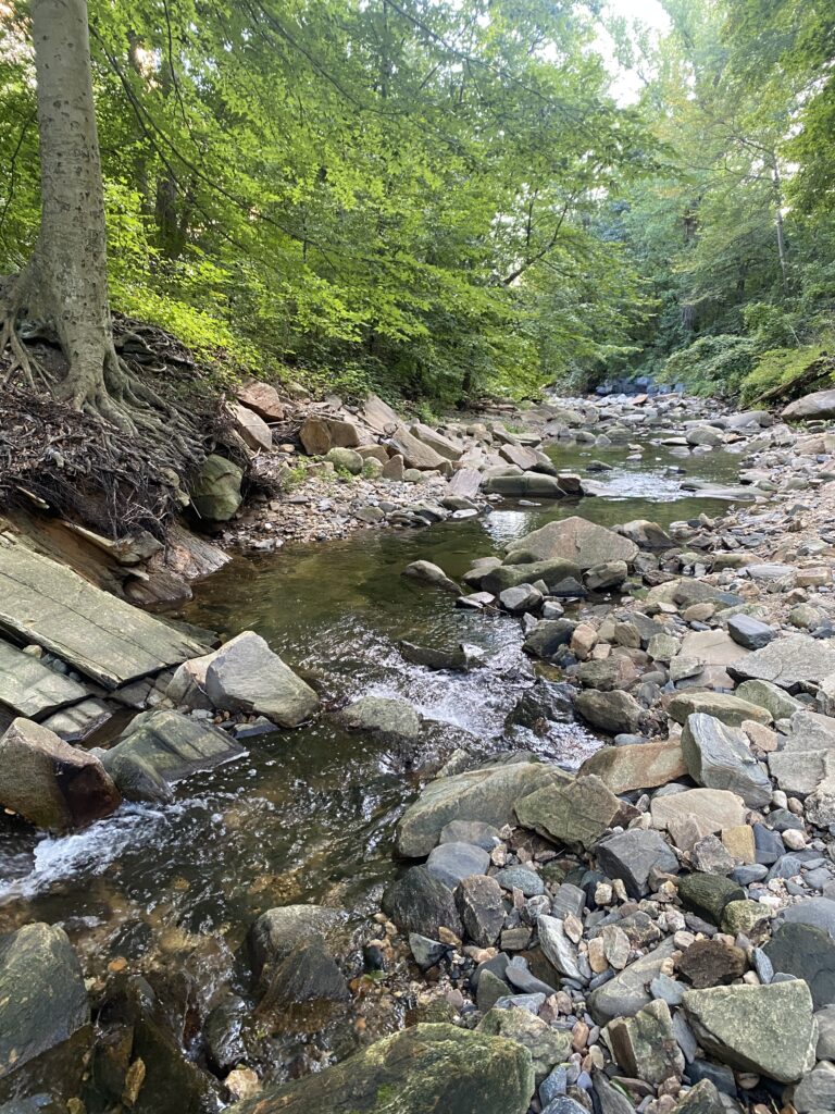 Rocky stream with green trees around it in Baltimore City, Maryland