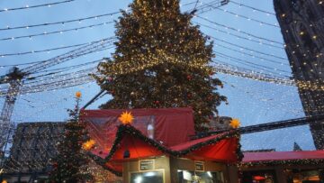 Christmas market booths under a large Christmas tree in Cologne, Germany