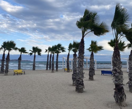 Alicante Spain beach with palm trees blowing in a strong wind