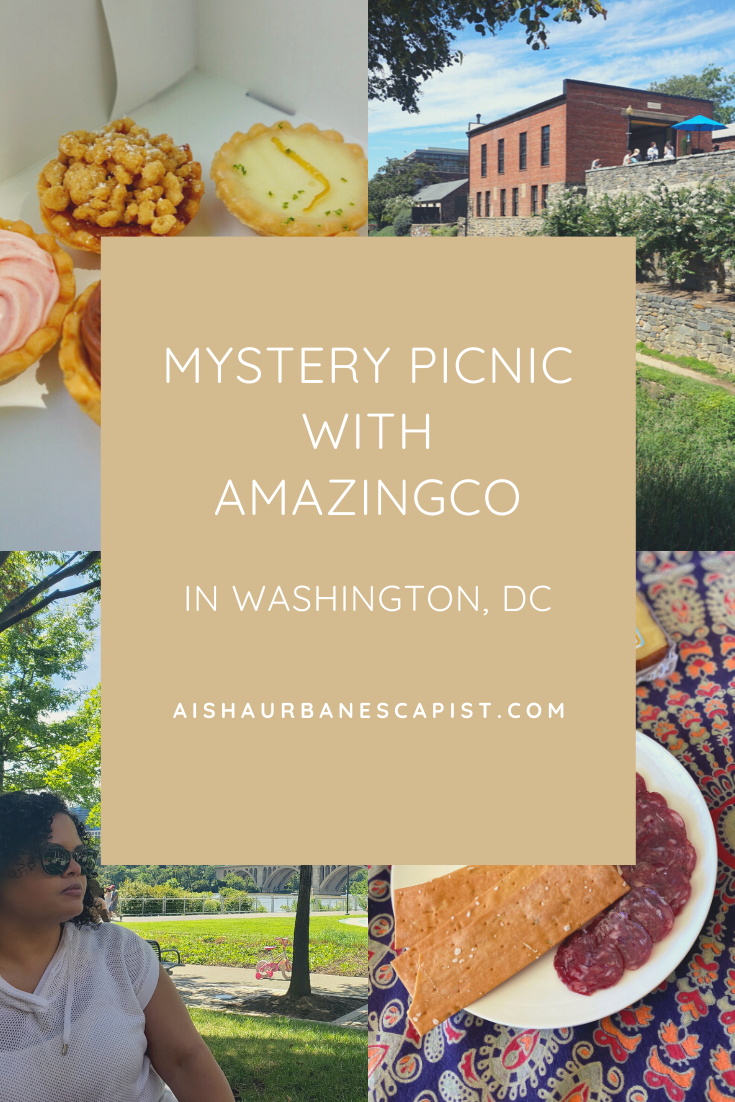 App-Guided City Tours with AmazingCo: Mystery Picnic in Washington, DC