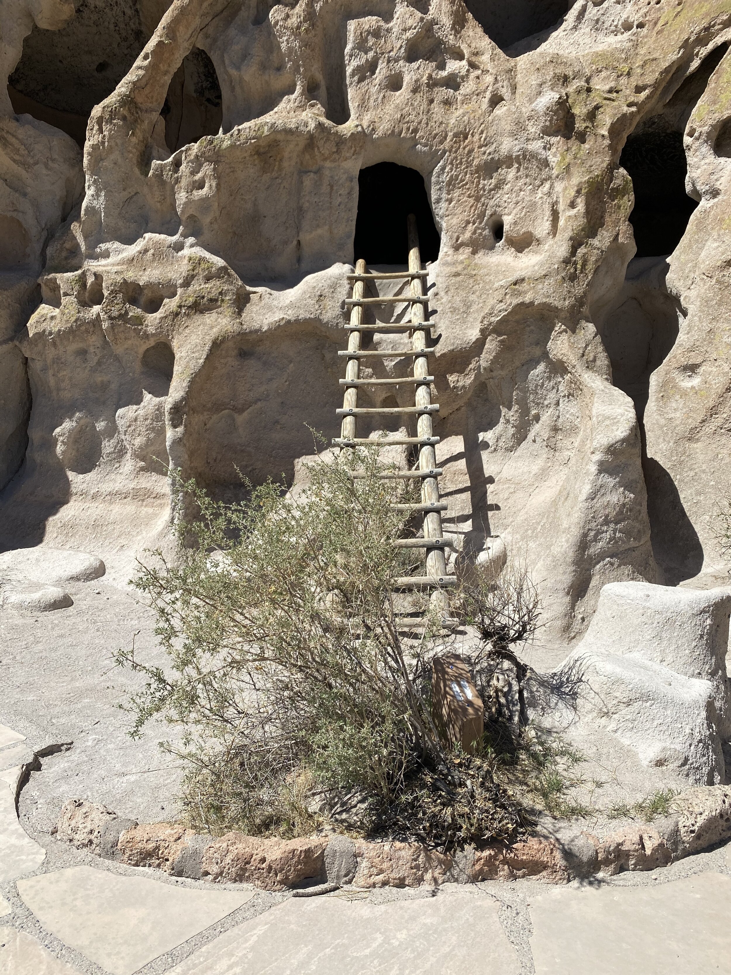 Ladder into a cliff dwelling at Bandelier National Monument