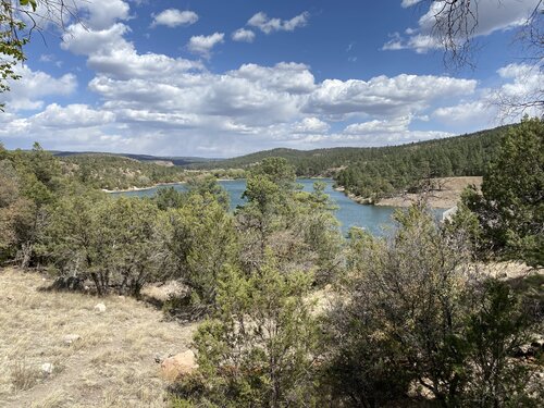 Round blue-green lake surrounded by trees in New Mexico