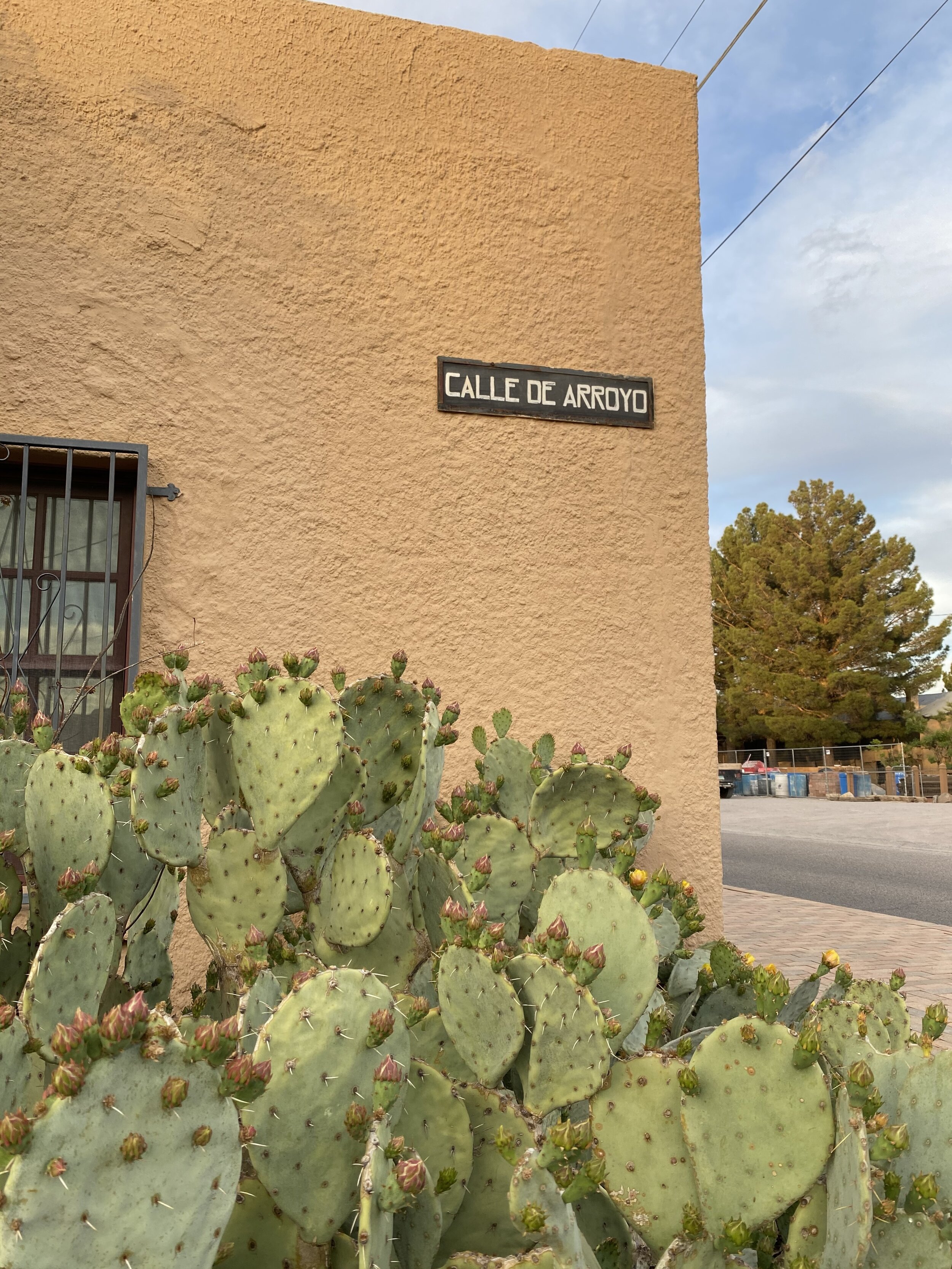 Southwestern New Mexico adobe building with cacti in the front
