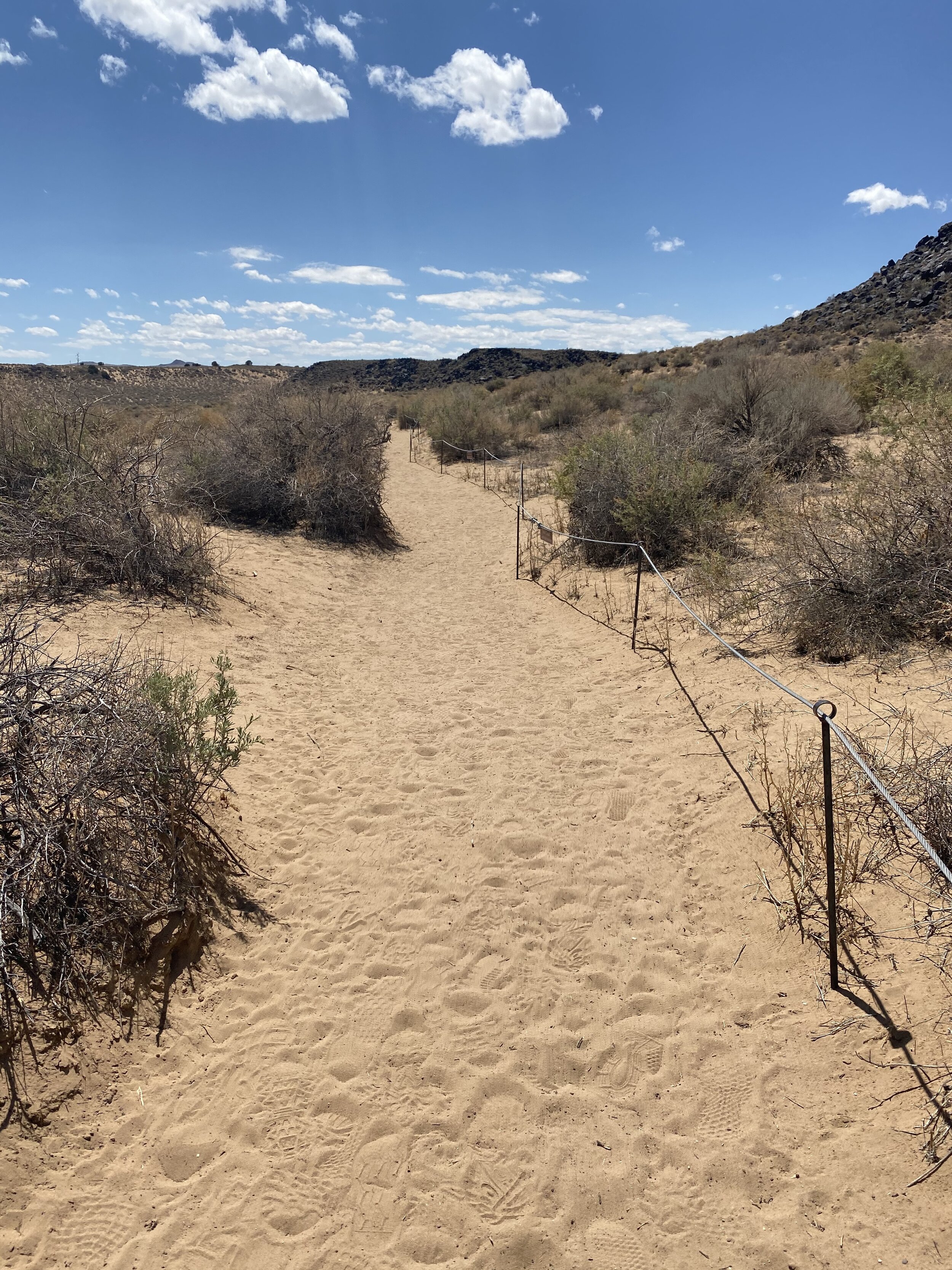 Sandy walking path at Petroglyph National Monument in New Mexico