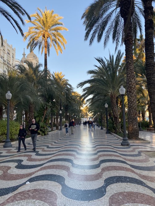 Tiled walkway lined with palm trees in Alicante, Spain