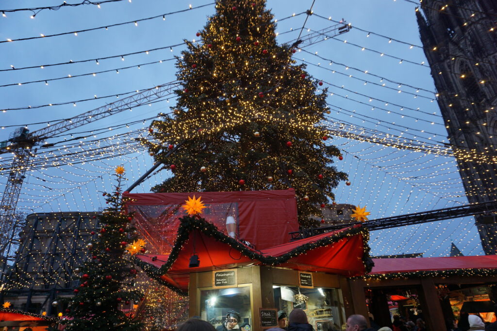 Christmas market booths under a large Christmas tree in Cologne, Germany