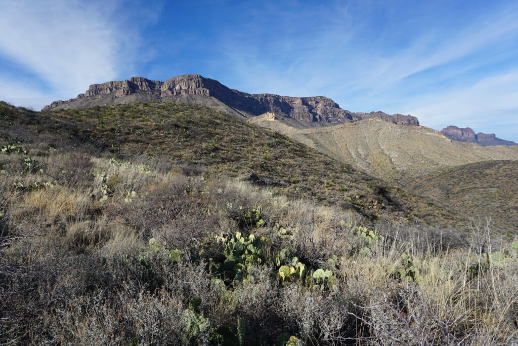 Mountain and field scenery in Texas desert