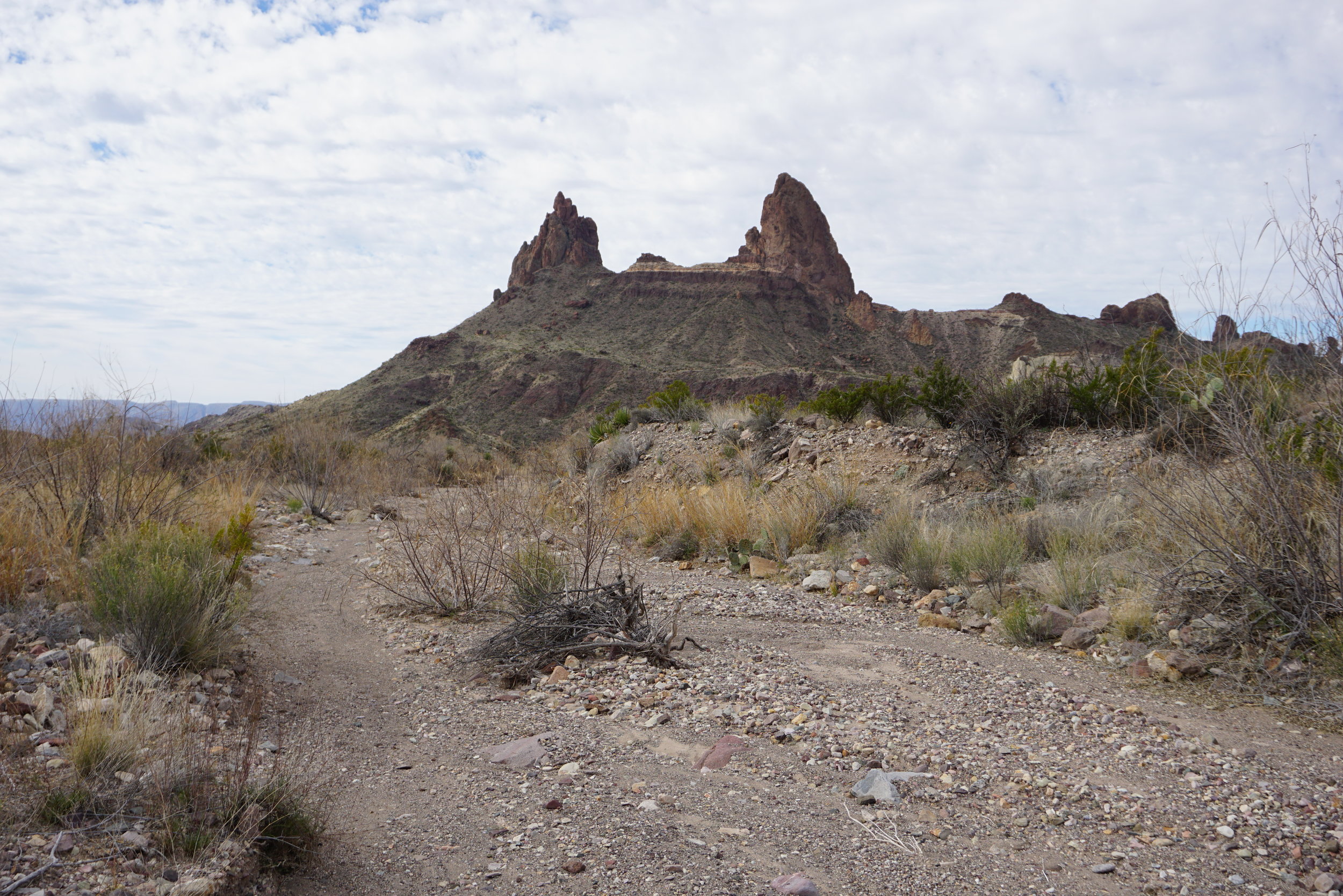 Mule Ears mountain range in the Texas desert