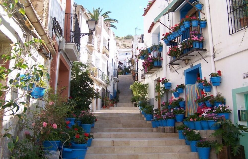 Ascending staircase lined with blue pots and plants