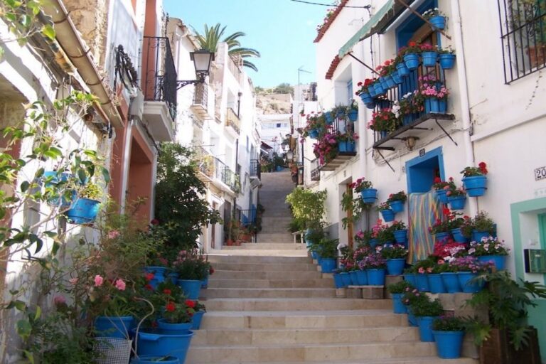 Ascending staircase lined with blue pots and plants
