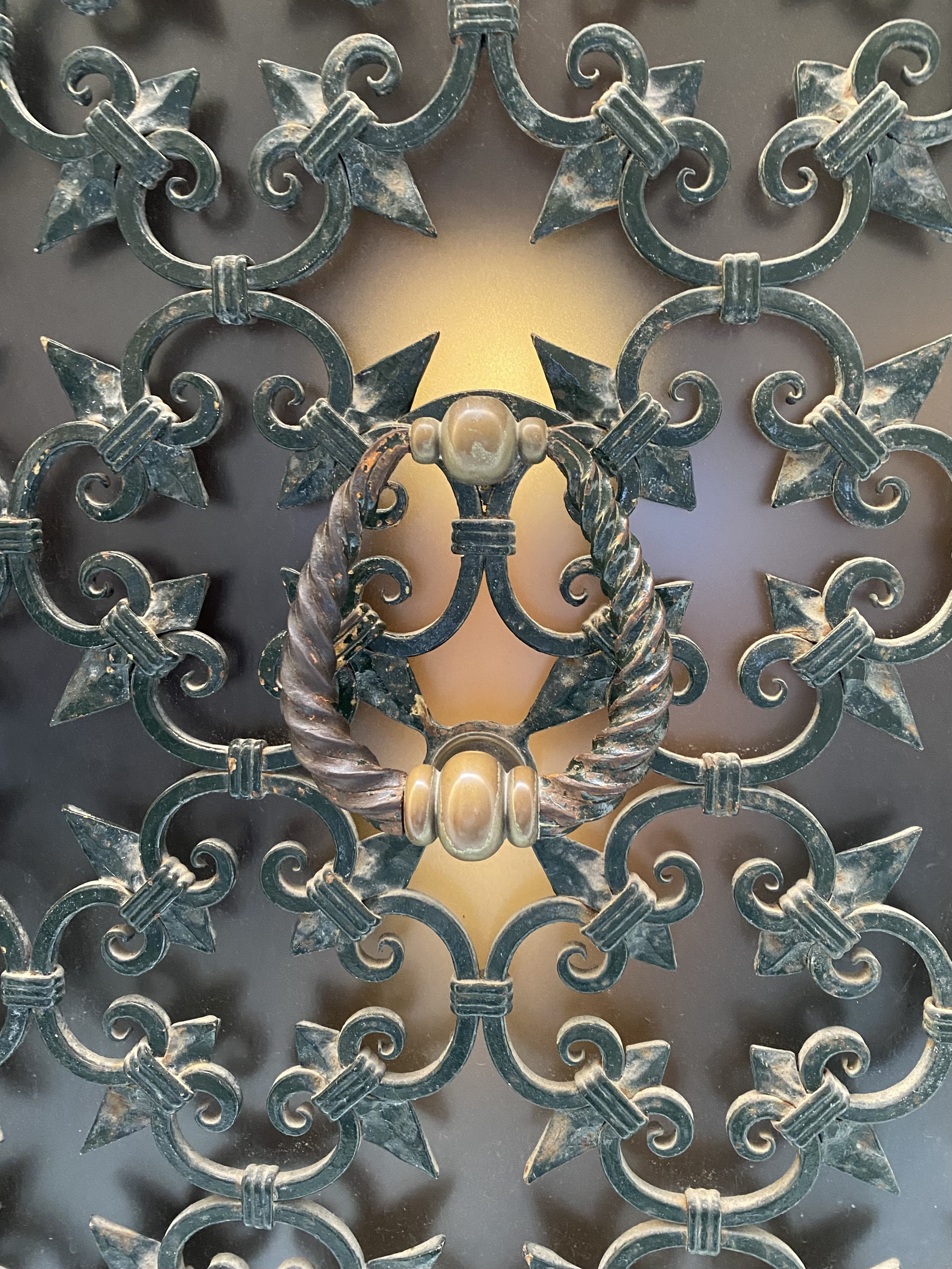 Ornate design on a door in Venice Italy