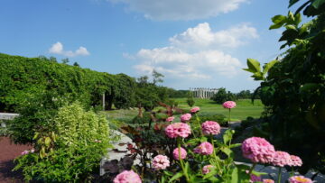 Pink roses and green plants with a large grassy field and stone pillars in the background