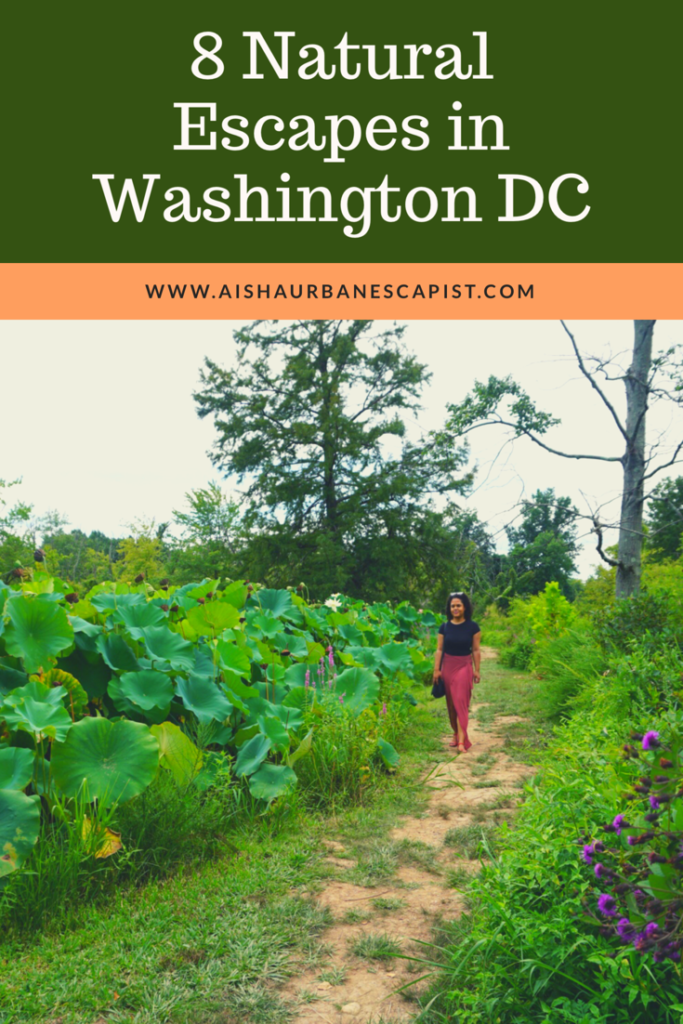 Woman walking on a path in botanic gardens with large green plants along the sides showing nature in Washington DC