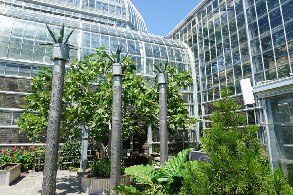 Courtyard of botanic gardens in Washington DC