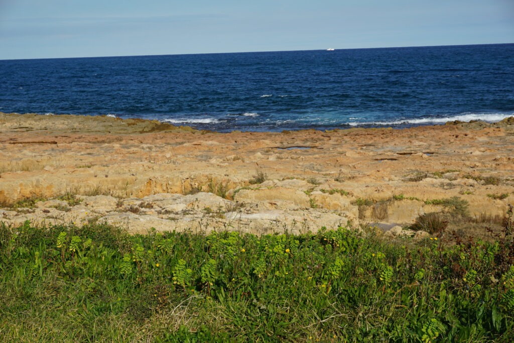 View of grass, beach rocks, and Mediterranean Sea in Javea Spain