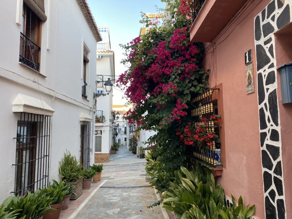 Narrow street lined with colorful homes and flowers in Old Town Marbella