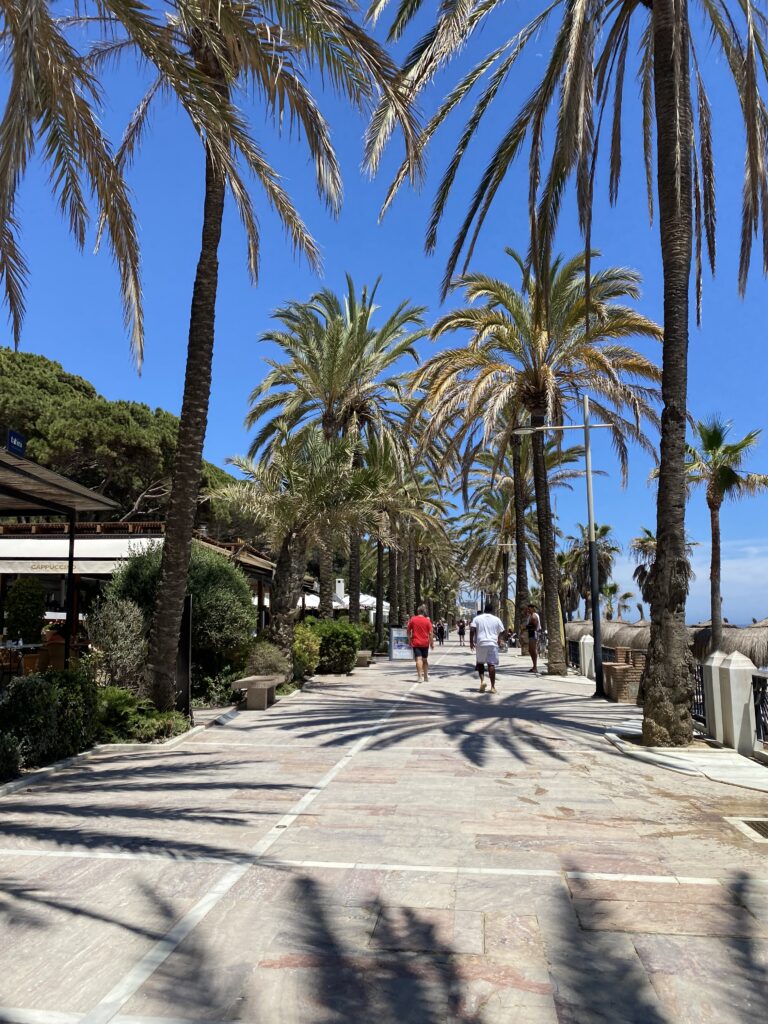 Boardwalk lined with palm trees in Marbella Spain
