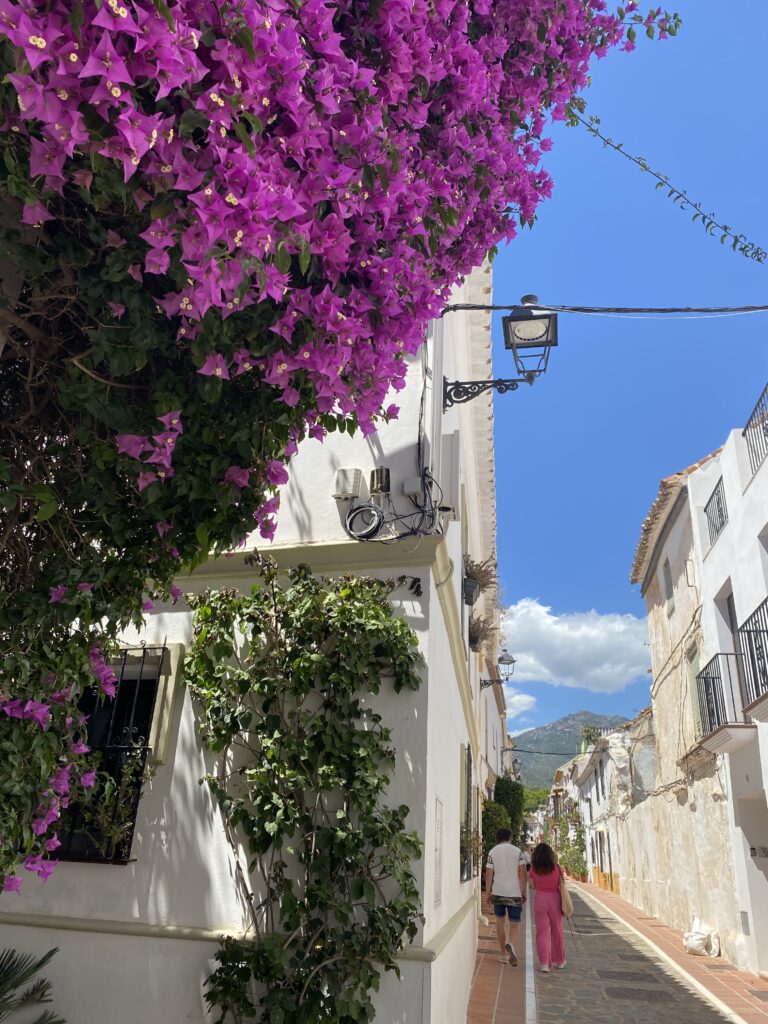 Narrow street of white homes and colorful hanging flowers in Old Town Marbella Spain