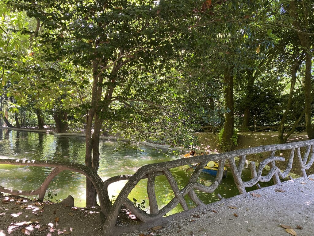 Green lake in a wooded park below a pedestrian bridge