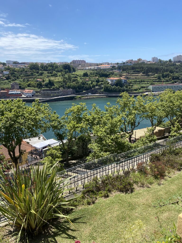 View of the Douro River and opposite coast from a grassy park