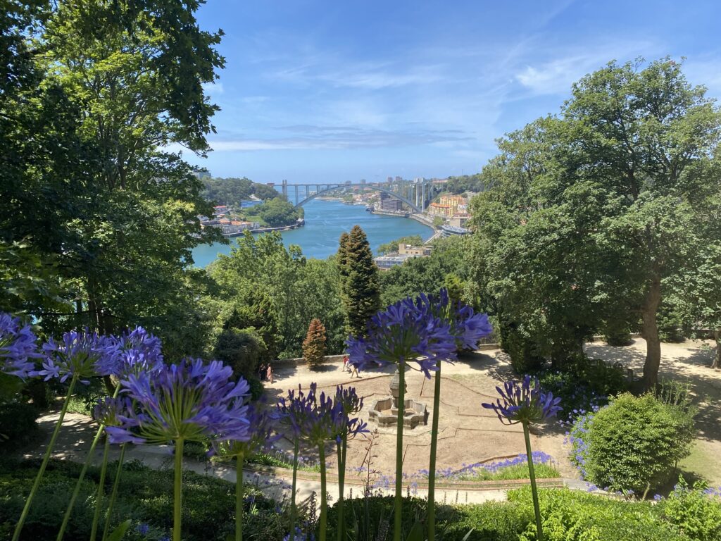 View of Douro River from a grassy park with purple flowers in foreground