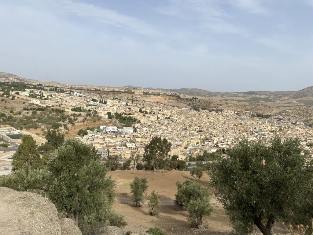 Panoramic view of Fez Morocco old town medina