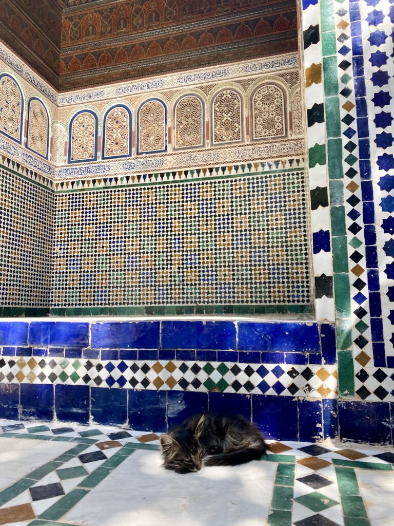 Kitten napping among tile mosaic backdrop in Moroccan palace