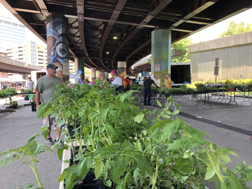 Vendors selling herbs at a farmers market in Baltimore under a bridge