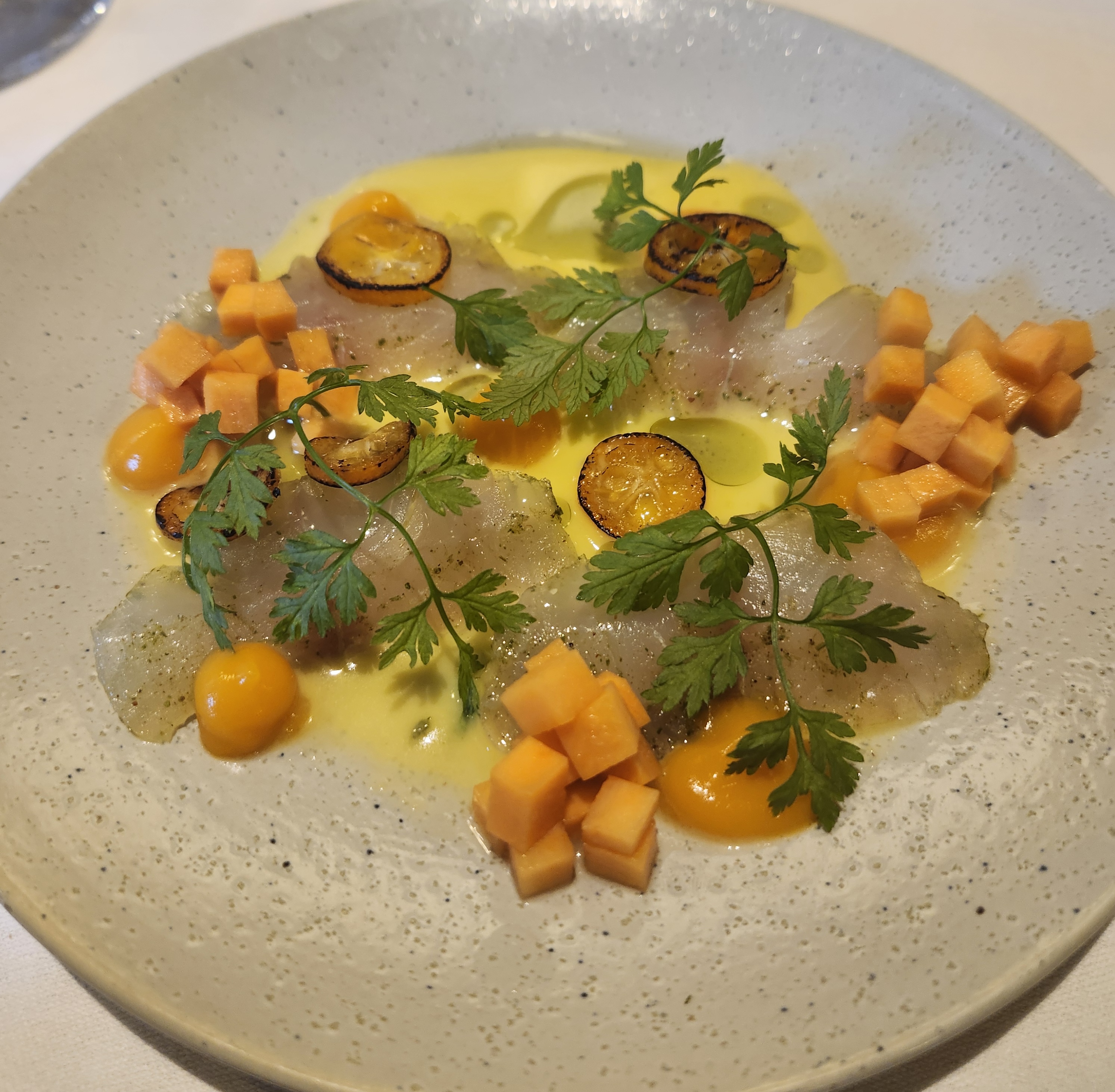 Plate of a high-end meal of fish and vegetables in Amsterdam Netherlands