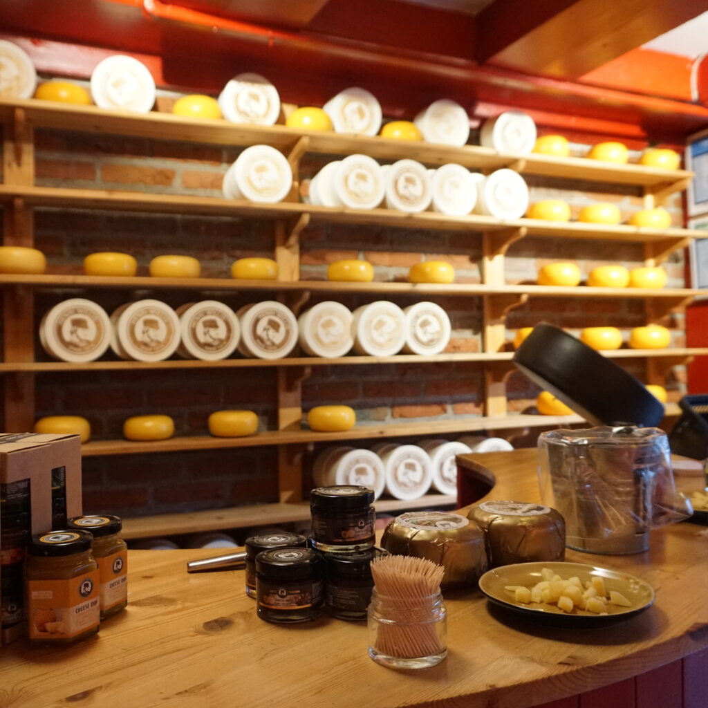 Display of cheeses in a cheese shop