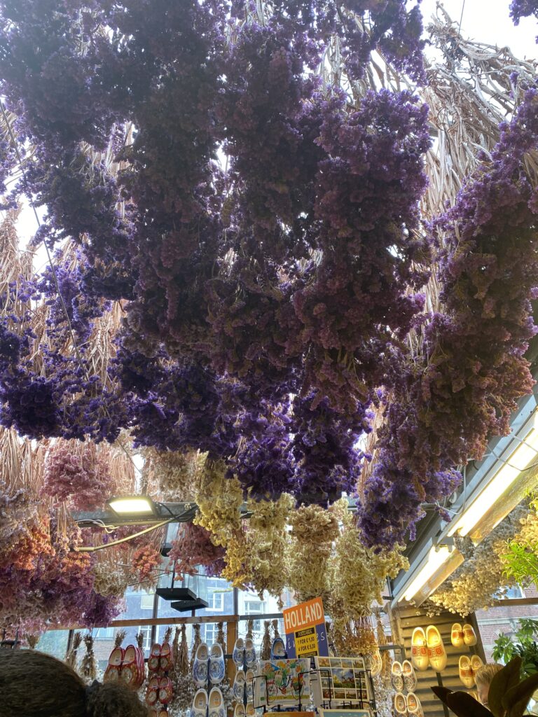 Purple flowers hanging from ceiling in an Amsterdam Netherlands flower shop