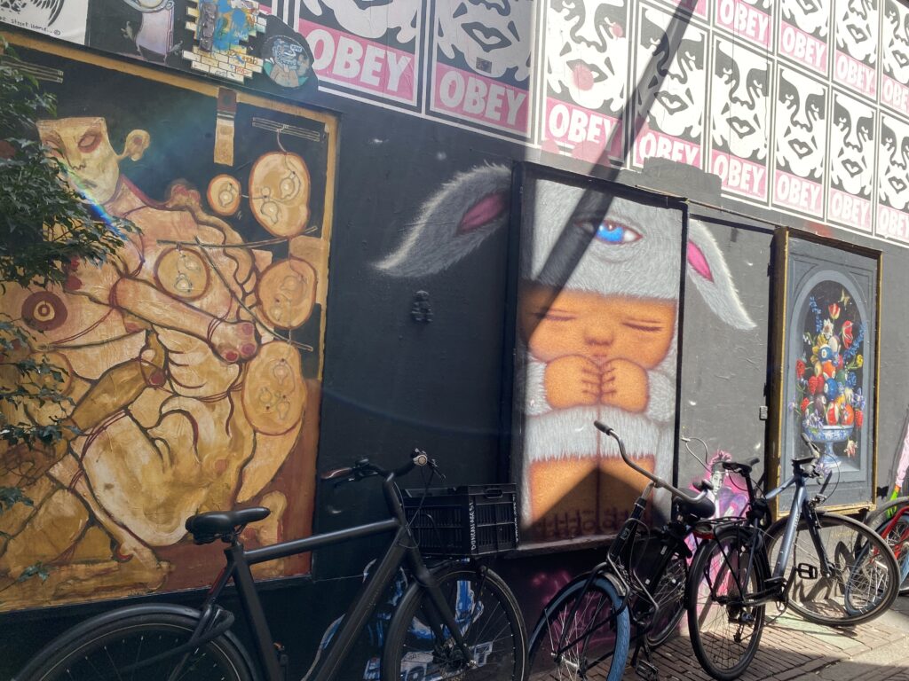 Street art along an Amsterdam street lined with bicycles