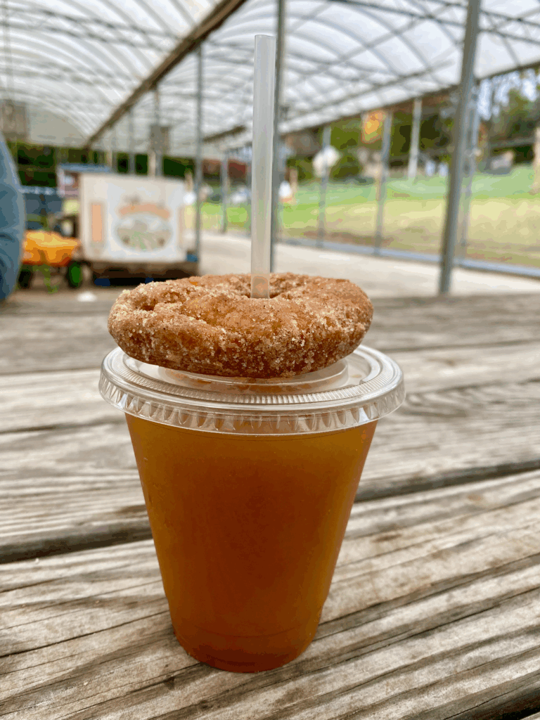 Plastic cup of a frosted apple cider drink with an apple cider doughnut on top